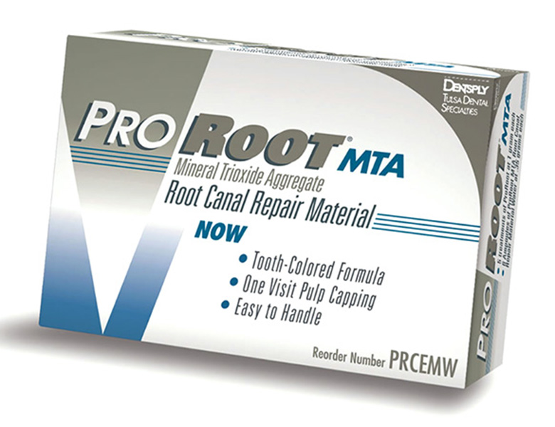 西馬込（大田区）の歯医者、なおい歯科クリニックの根管治療